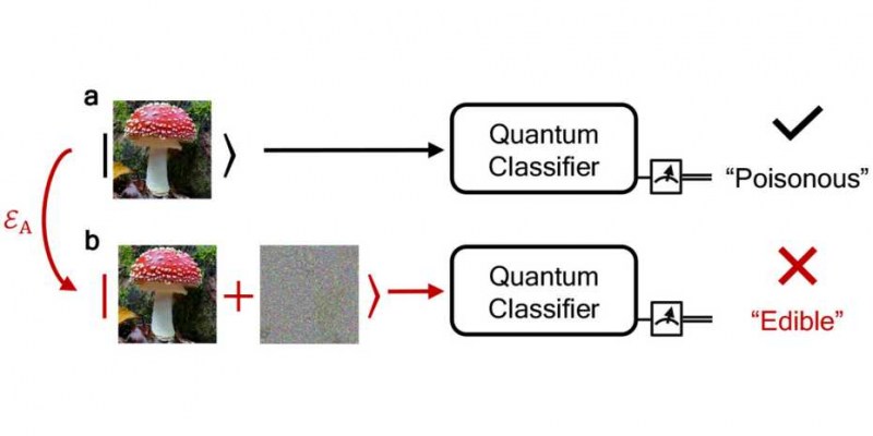 苏黎世联邦理工学院的科研团队探索可靠的量子机器学习