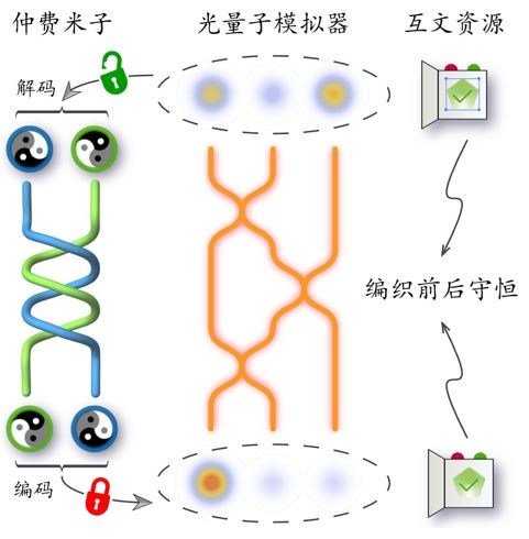 中国科大在任意子光量子模拟中取得重要进展