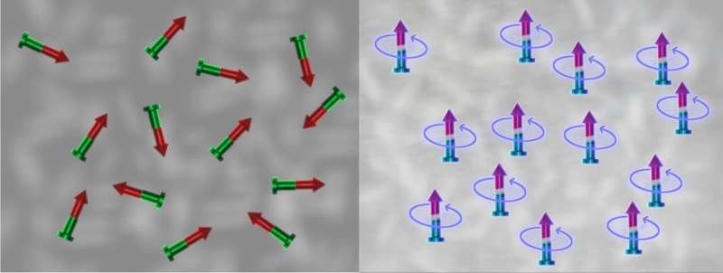 科学家成功演示了对量子磁体的自旋相互作用进行可编程控制