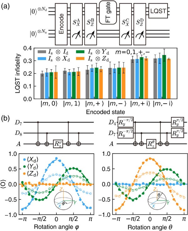 深圳国际量子研究院超导团队在量子纠错领域取得重要突破