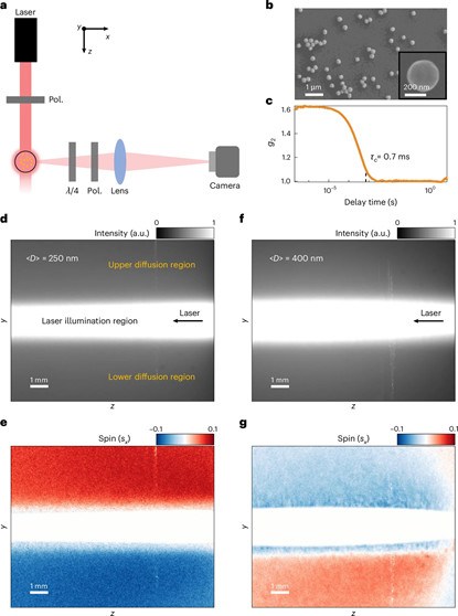 上海交大王波、陈险峰研究团队在具有布朗运动的纳米颗粒系统中发现巨大光子自旋锁定效应