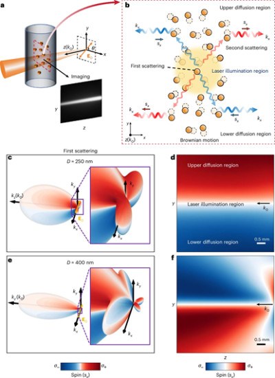 上海交大王波、陈险峰研究团队在具有布朗运动的纳米颗粒系统中发现巨大光子自旋锁定效应