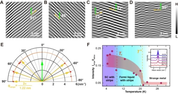 李渭、薛其坤团队在2M-WS₂电荷密度波研究方面取得进展