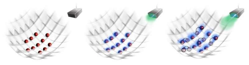 物质波极化子的发现为光子量子技术提供了新的启示