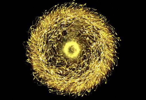 研究人员用激光创造出奇特的磁粒子 可能为量子计算机带来变革