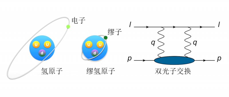 北大利用格点量子色动力学在缪氢原子光谱研究中获突破性进展