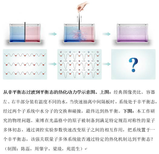 中国科大超冷原子量子模拟获重要进展：格点规范场理论热化问题得解