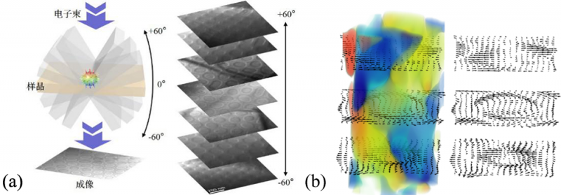 中科院物理研究所在磁性斯格明子的三维磁结构研究中取得进展