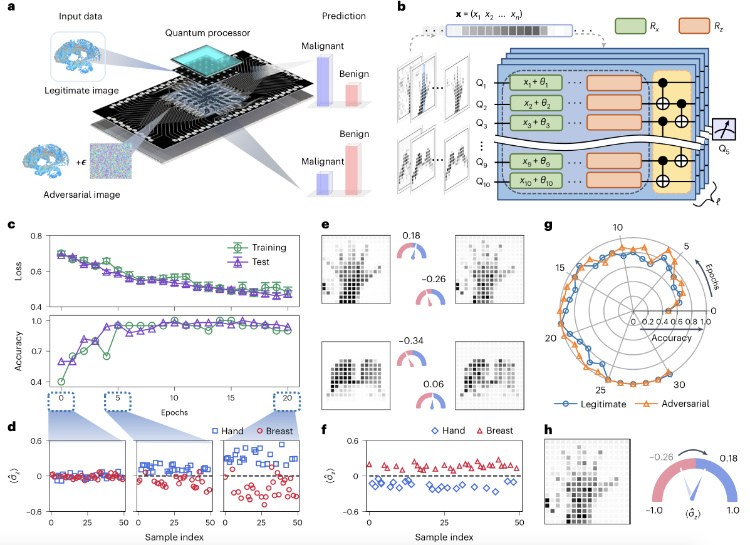 清华大学邓东灵研究组合作在超导系统中实现量子对抗机器学习