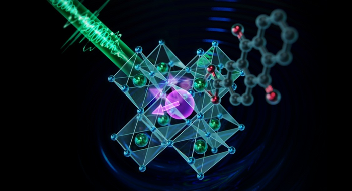 大连化物所实现胶体量子点自旋的室温超快相干操控