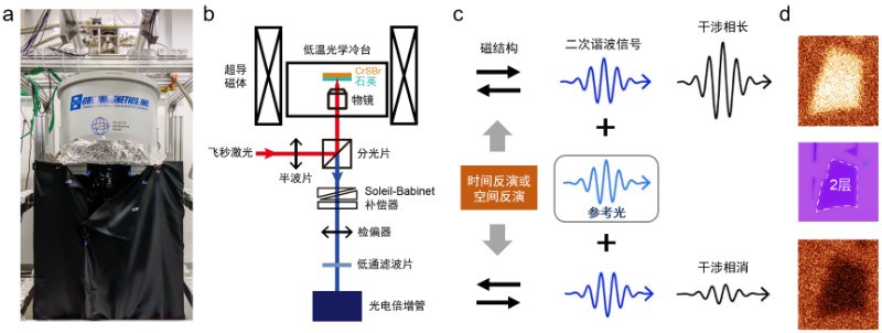 复旦大学吴施伟研究团队在二维磁性材料的磁多态分辨与操控研究中取得进展
