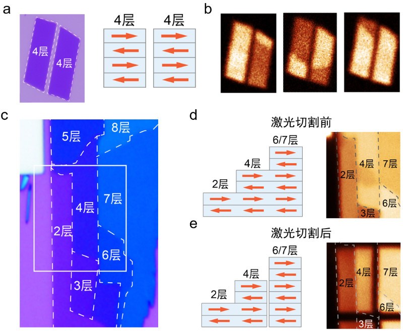 复旦大学吴施伟研究团队在二维磁性材料的磁多态分辨与操控研究中取得进展