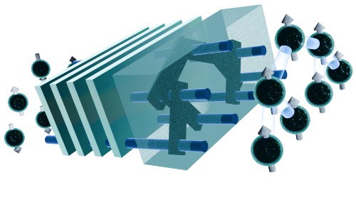 深圳国际量子研究院团队在自发对称性破缺研究中取得重要实验进展