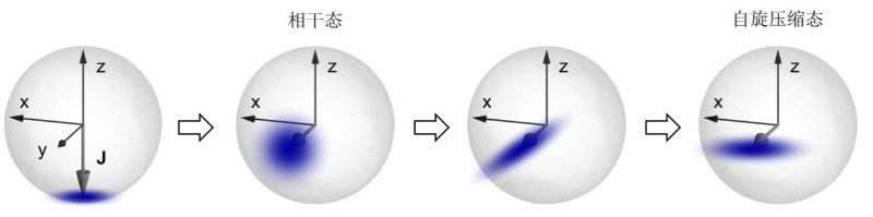 中国科学院国家授时中心研究团队提出了一种新的自旋压缩光晶格钟差分频率比对方案