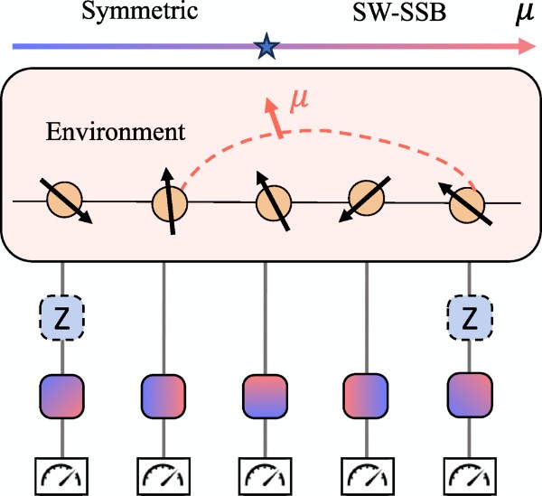 复旦大学物理学系张鹏飞、冯磊课题组合作，提出实验探测强-弱对称性破缺新方案