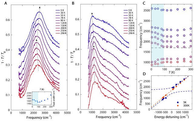 北理工物理学院在笼目晶格材料CsV3Sb5等离激元研究方面取得重要进展