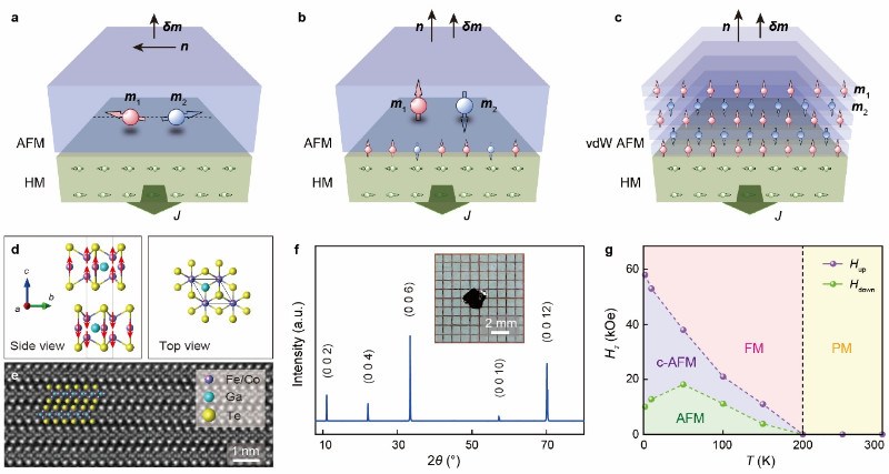 北京大学罗昭初、杨金波团队与合作者实现范德华反铁磁中奈尔矢量的电学调控