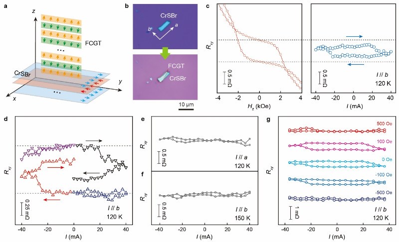 北京大学罗昭初、杨金波团队与合作者实现范德华反铁磁中奈尔矢量的电学调控