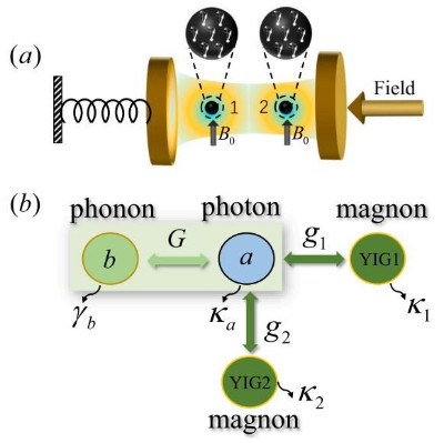 温州大学数理学院固态混合量子器件团队在宏观量子纠缠领域取得新进展
