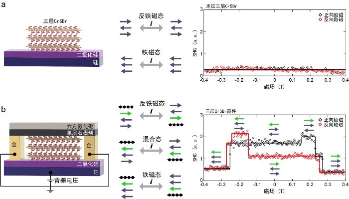 复旦大学吴施伟团队在电荷转移主导的二维磁结构对称性破缺与调控中取得新进展