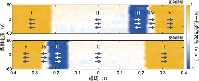 复旦大学吴施伟团队在电荷转移主导的二维磁结构对称性破缺与调控中取得新进展