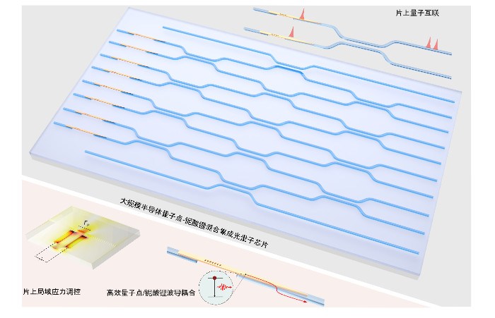 上海微系统所在大规模异质集成光量子芯片方面取得进展