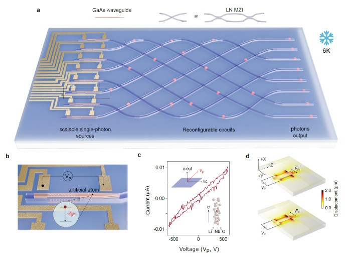 上海微系统所在大规模异质集成光量子芯片方面取得进展