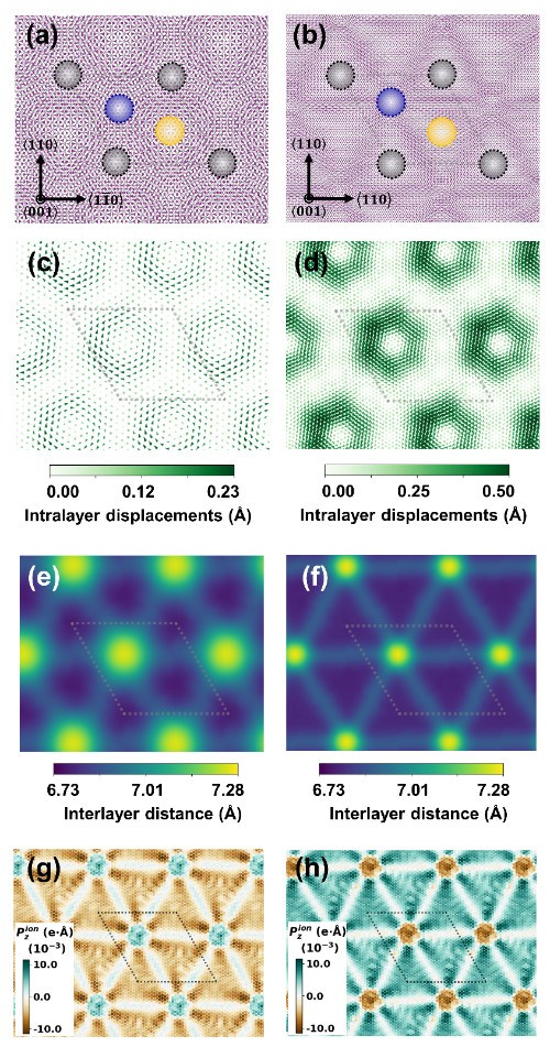 复旦大学徐长松、向红军课题组揭示转角双层NiI2中莫尔诱导的磁电耦合新机制
