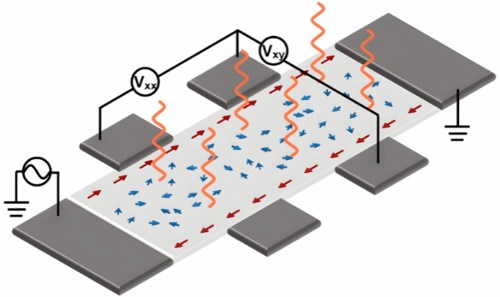 北京大学孙庆丰课题组在铁磁金属中提出量子反常霍尔态