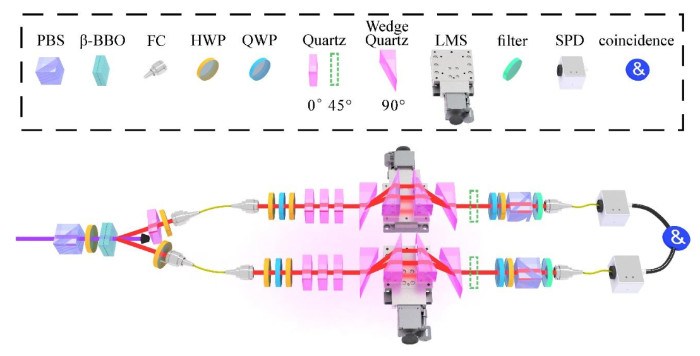中国科大实现多体量子速度极限