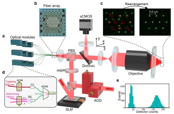 精密测量院实现基于光纤阵列的中性原子量子计算新架构