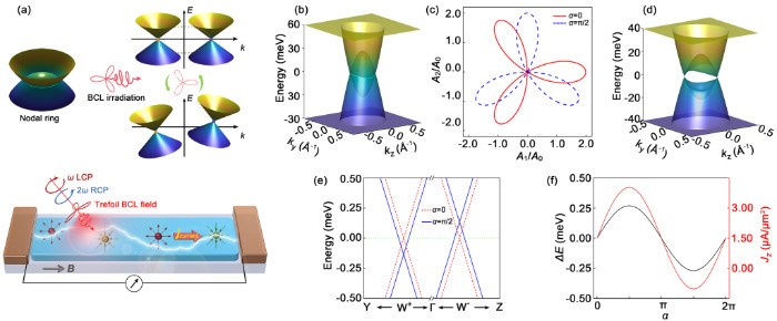 重庆大学王锐教授与许东辉教授团队在光调控拓扑物态研究方面取得重要进展
