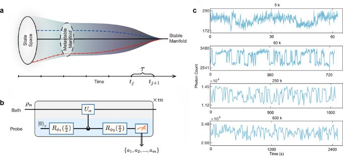 开放量子系统亚稳现象的实验观测