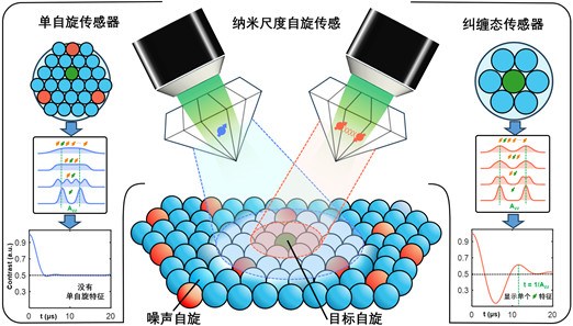 中国科大实现纠缠增强纳米尺度单自旋量子传感