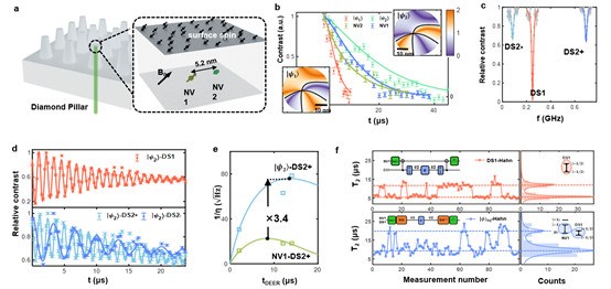 中国科大实现纠缠增强纳米尺度单自旋量子传感