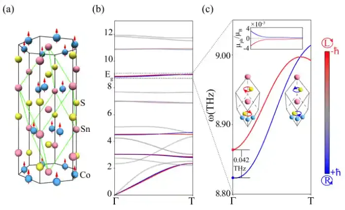 南京大学物理学院张海军教授课题组在声子磁性研究领域取得重要进展