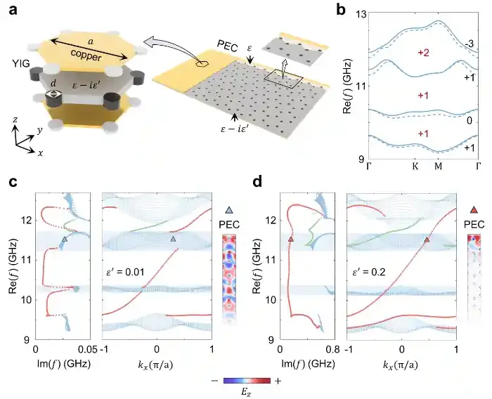 光量子霍尔态的非厄米“体—边分离”效应