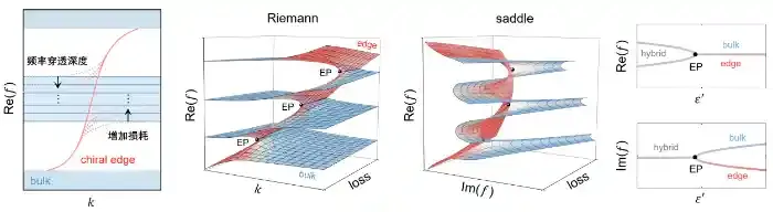 光量子霍尔态的非厄米“体—边分离”效应