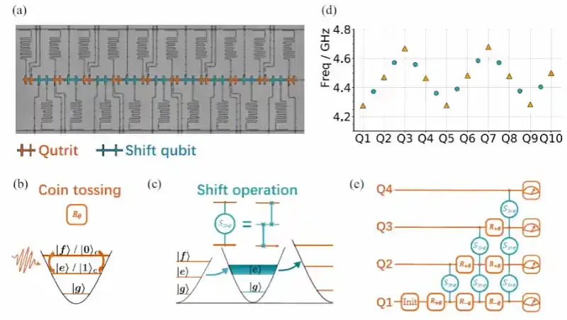 南京大学物理学院于扬教授团队在量子行走及拓扑边界态研究方面取得重要进展