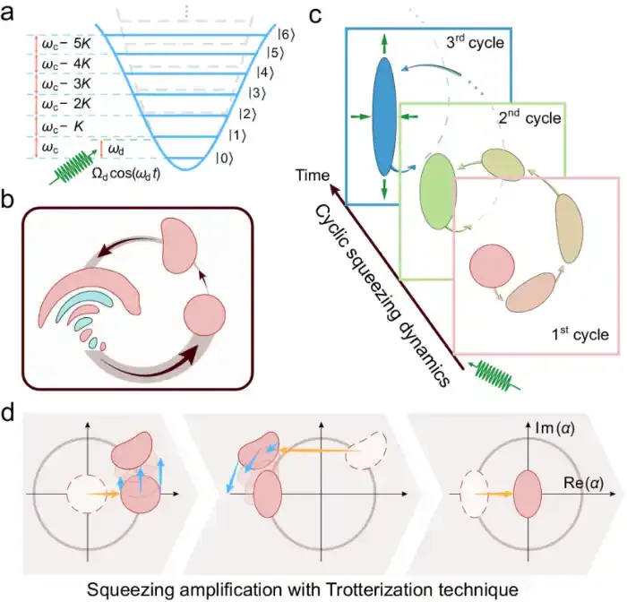 深圳国际量子研究院超导团队在量子压缩操控与量子精密测量领域取得重要实验突破