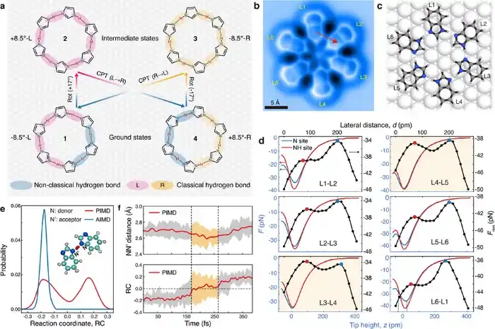 通过极弱力测量揭示氢键中的核量子效应