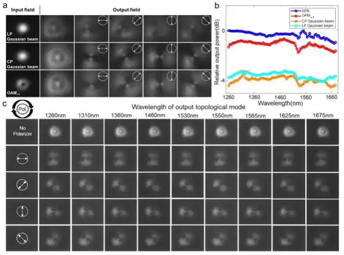 武汉光电国家研究中心王健团队在狄拉克涡旋拓扑光子晶体光纤领域取得进展