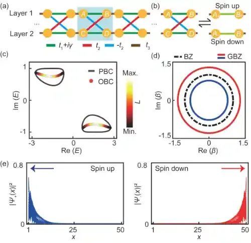 南京大学刘晓峻、程营课题组实现声学损耗引起的非厄米趋肤效应