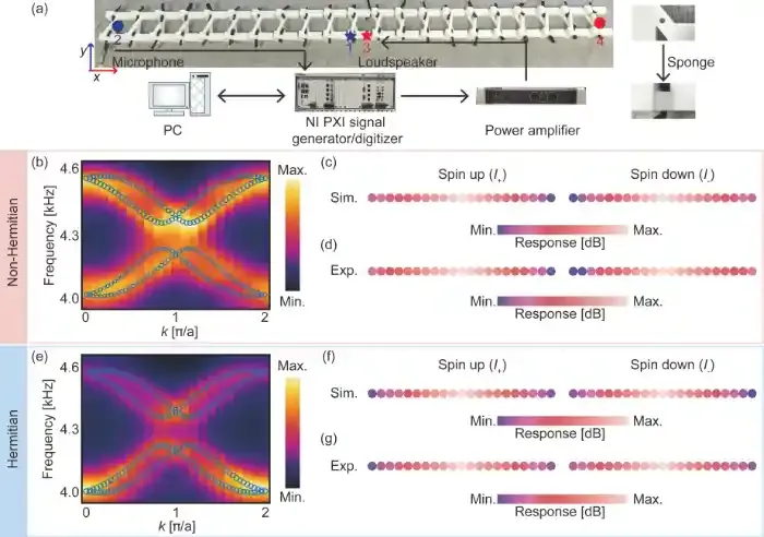 南京大学刘晓峻、程营课题组实现声学损耗引起的非厄米趋肤效应