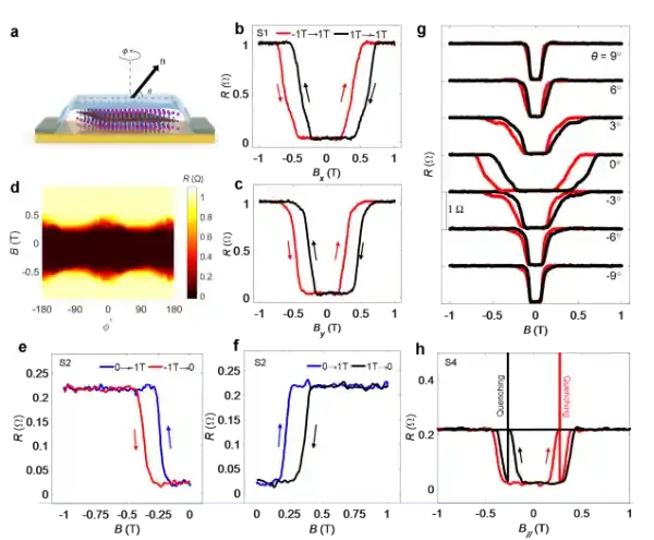 深圳国际量子院林本川课题组在本征拓扑超导体研究中取得重要进展