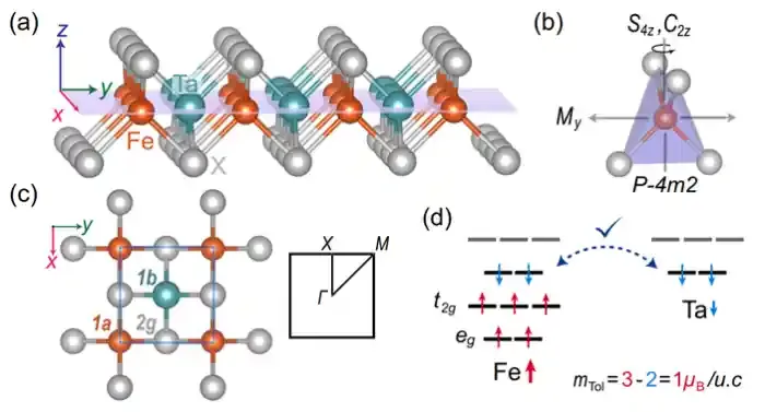 复旦大学物理学系王靖课题组理论预言一类亚铁磁序量子反常霍尔绝缘体材料