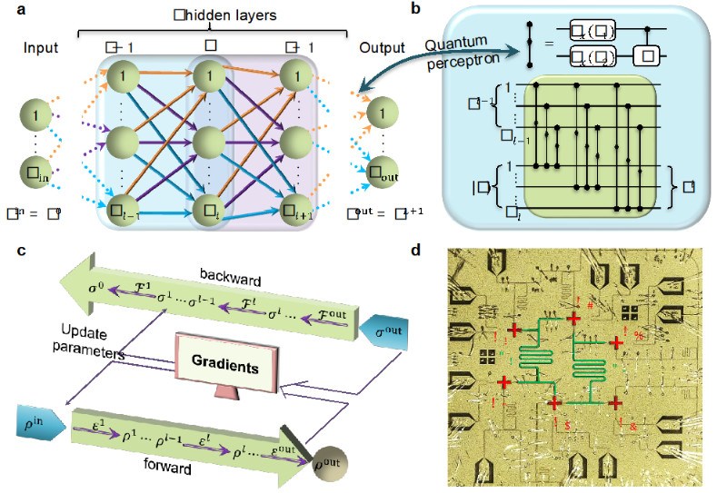 清华大学孙麓岩和邓东灵研究组合作在超导量子系统中演示深度量子神经网络