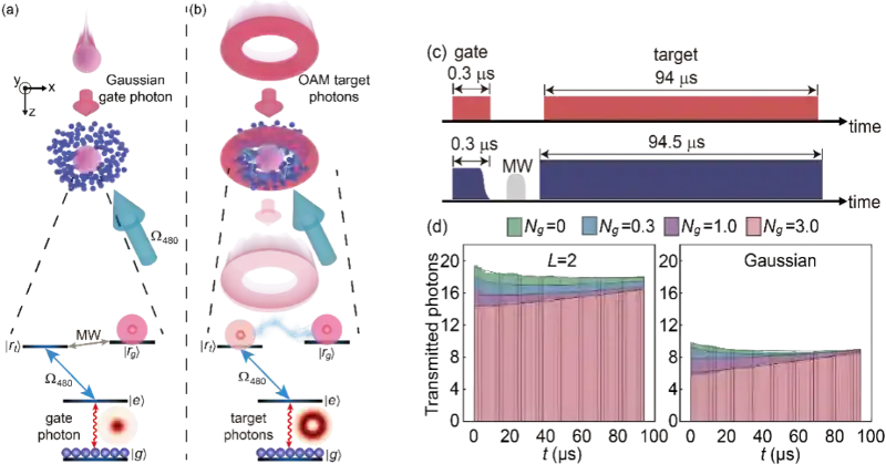 国家精密重力测量科学中心李霖教授团队在里德堡原子光量子操控领域取得进展