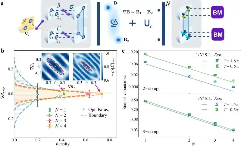 深圳国际量子研究院团队在分布式量子精密测量领域取得重要实验进展