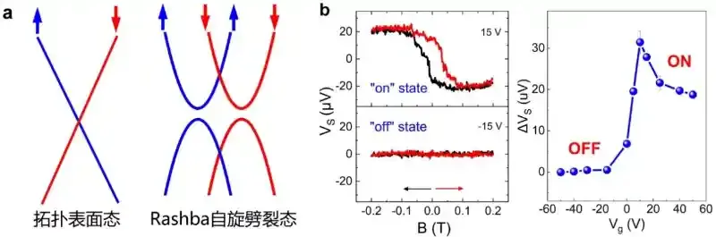 北京大学廖志敏团队在拓扑半金属自旋量子态调控中取得重要进展